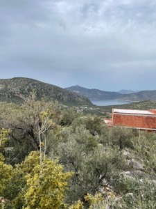 Kalkan'da Deniz Manzaralı Yatırımlık Arsa