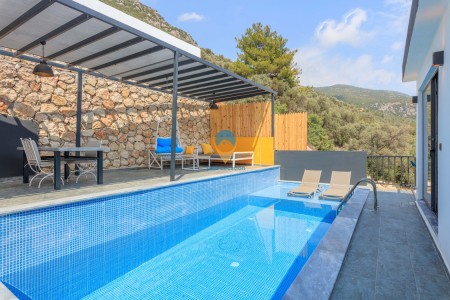 Villa Pool Suit 9