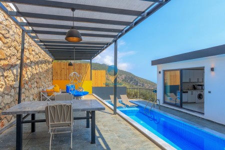 Villa Pool Suit 9